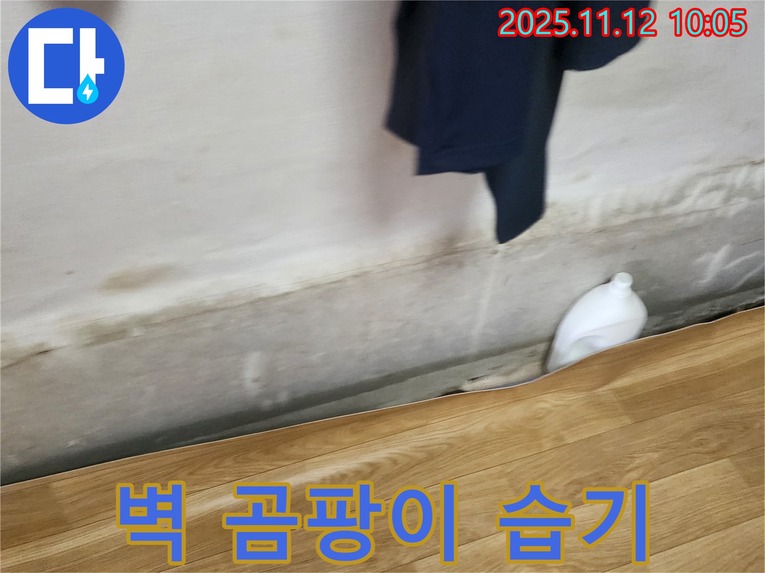 벽 곰팡이 - 습기 - 누수 초기 증상 의심