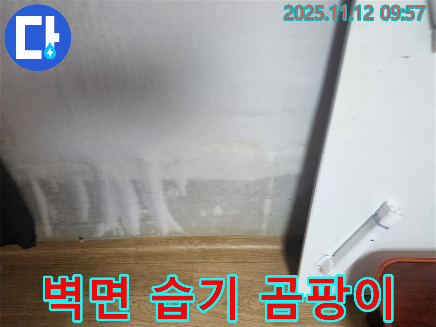 벽면 습기 - 곰팡이 냄새 - 건강 적신호