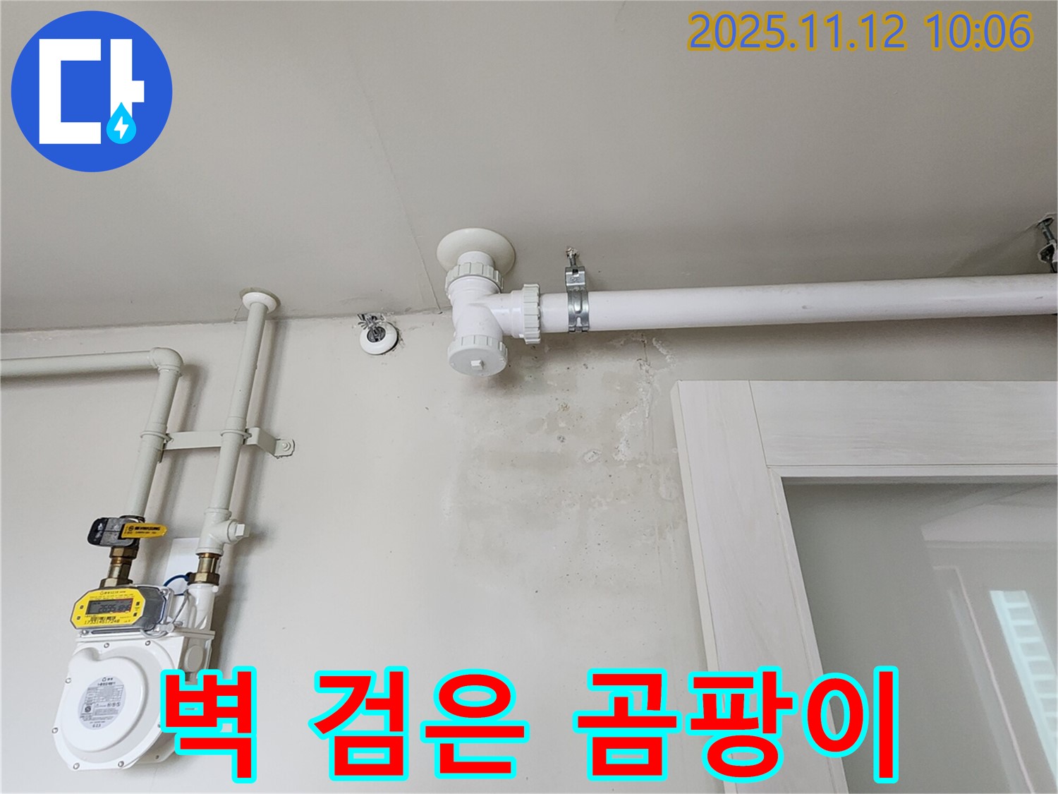 벽에 검은 곰팡이 - 건강 위협! 누수 해결과 곰팡이 제거 동시 진행!