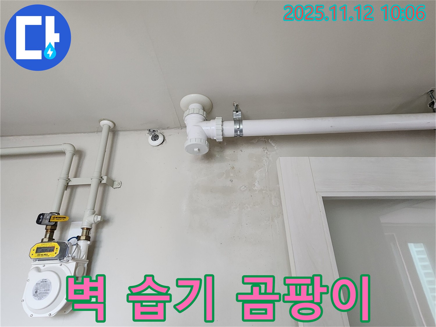 벽에 습기 - 곰팡이 번식 직전, 누수 해결로 쾌적한 공간 만들기!
