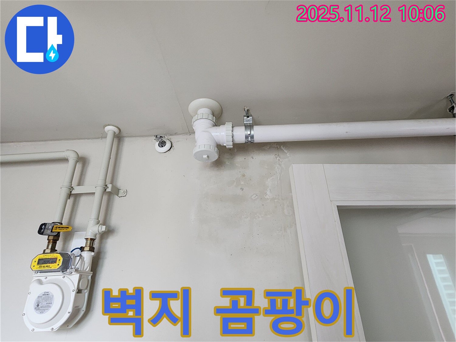 벽지에 곰팡이 - 습기 때문에 벽지가 망가졌어요, 누수 점검은 필수!