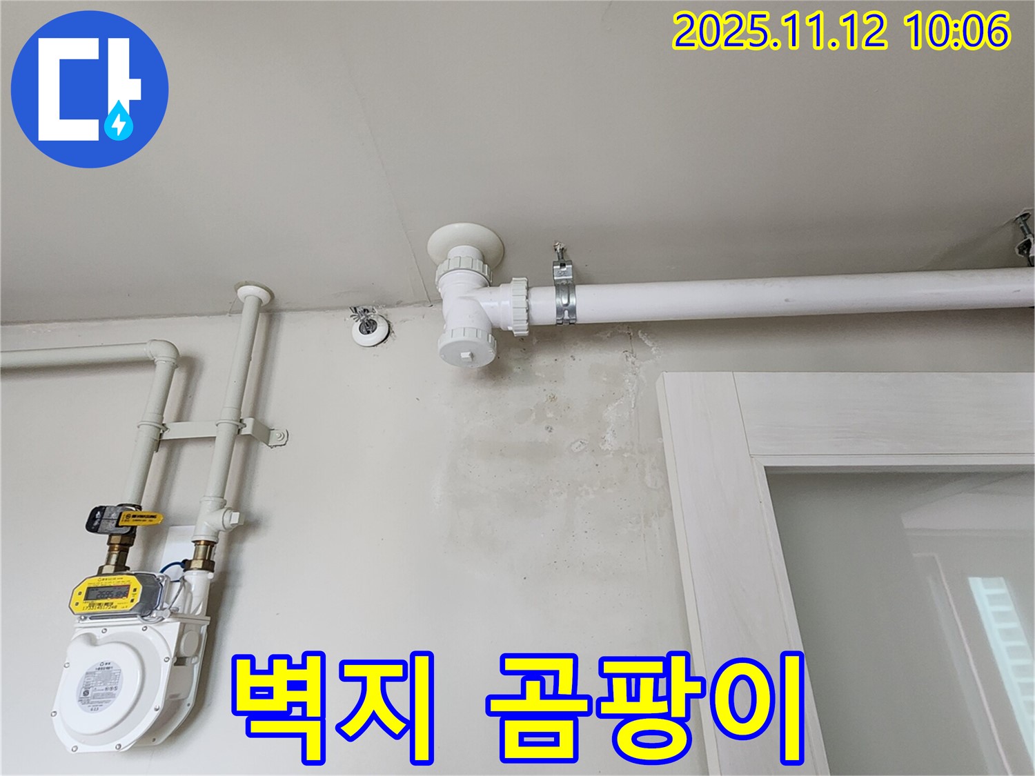 벽지에 곰팡이 - 습기 때문에 벽지가 망가졌어요, 누수 점검은 필수!