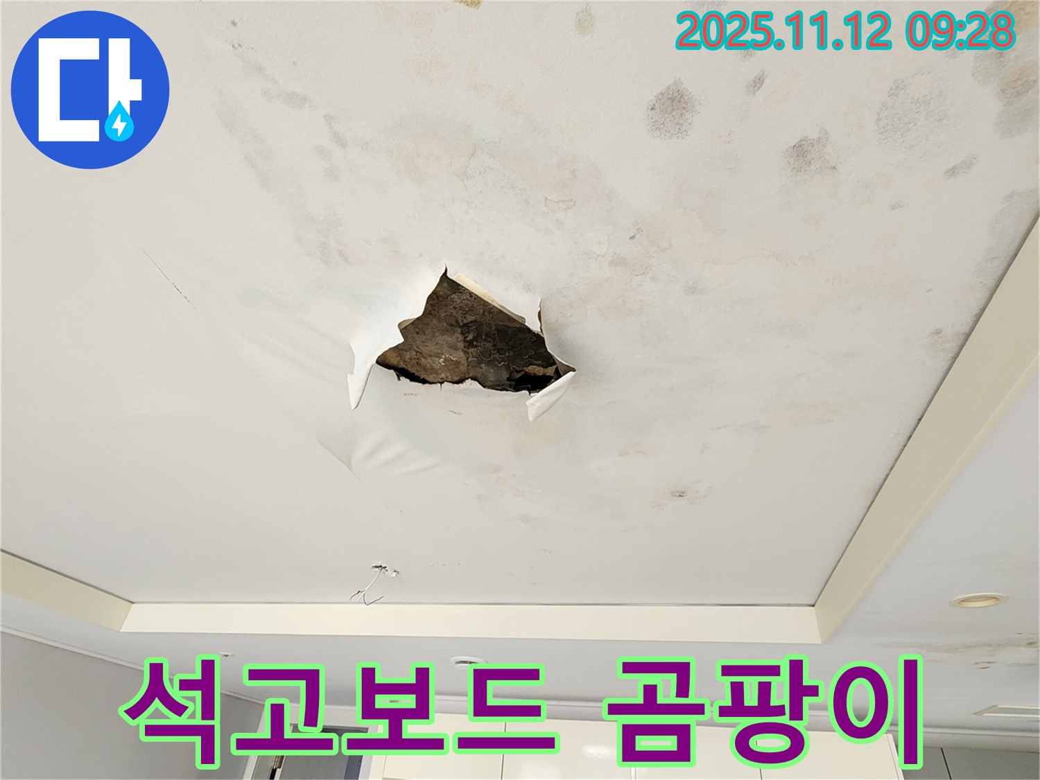 석고보드 곰팡이 - 석고보드 파손 부위 안쪽으로 곰팡이가 심하게 핀 모습입니다.