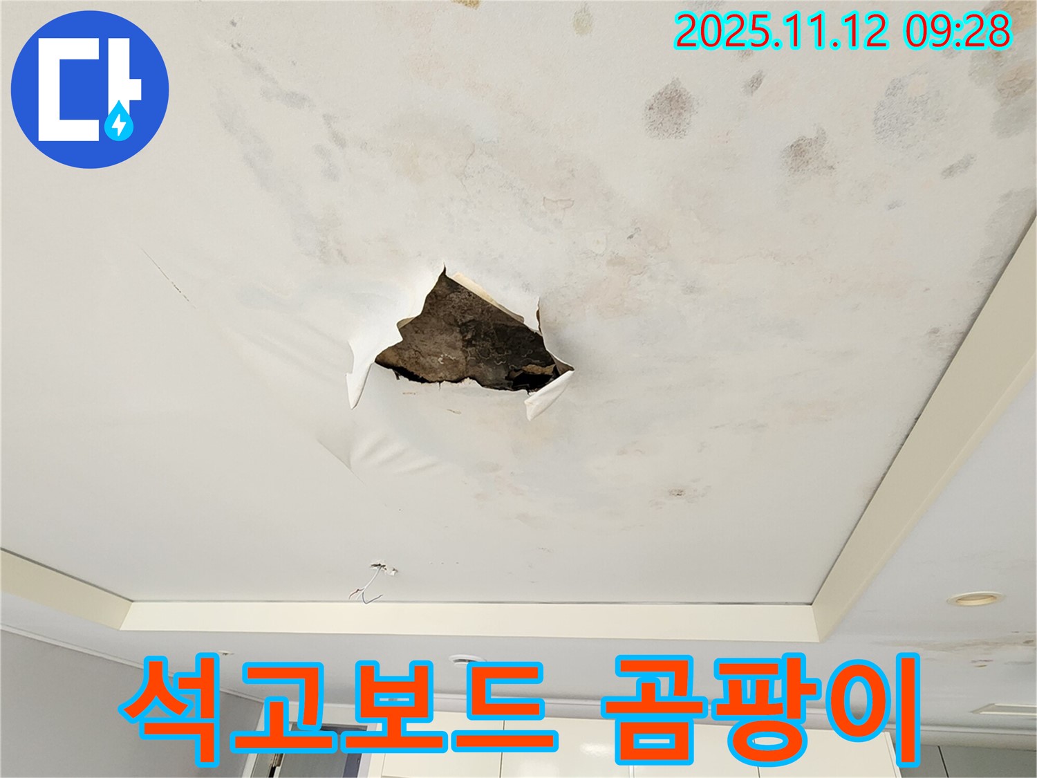 석고보드 곰팡이 - 석고보드 표면에 곰팡이가 심하게 번식한 모습입니다.