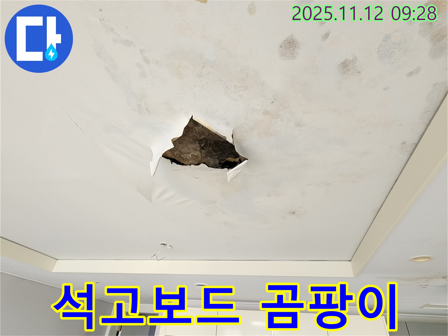 석고보드 곰팡이 - 석고보드에 곰팡이가 심하게 핀 모습입니다.