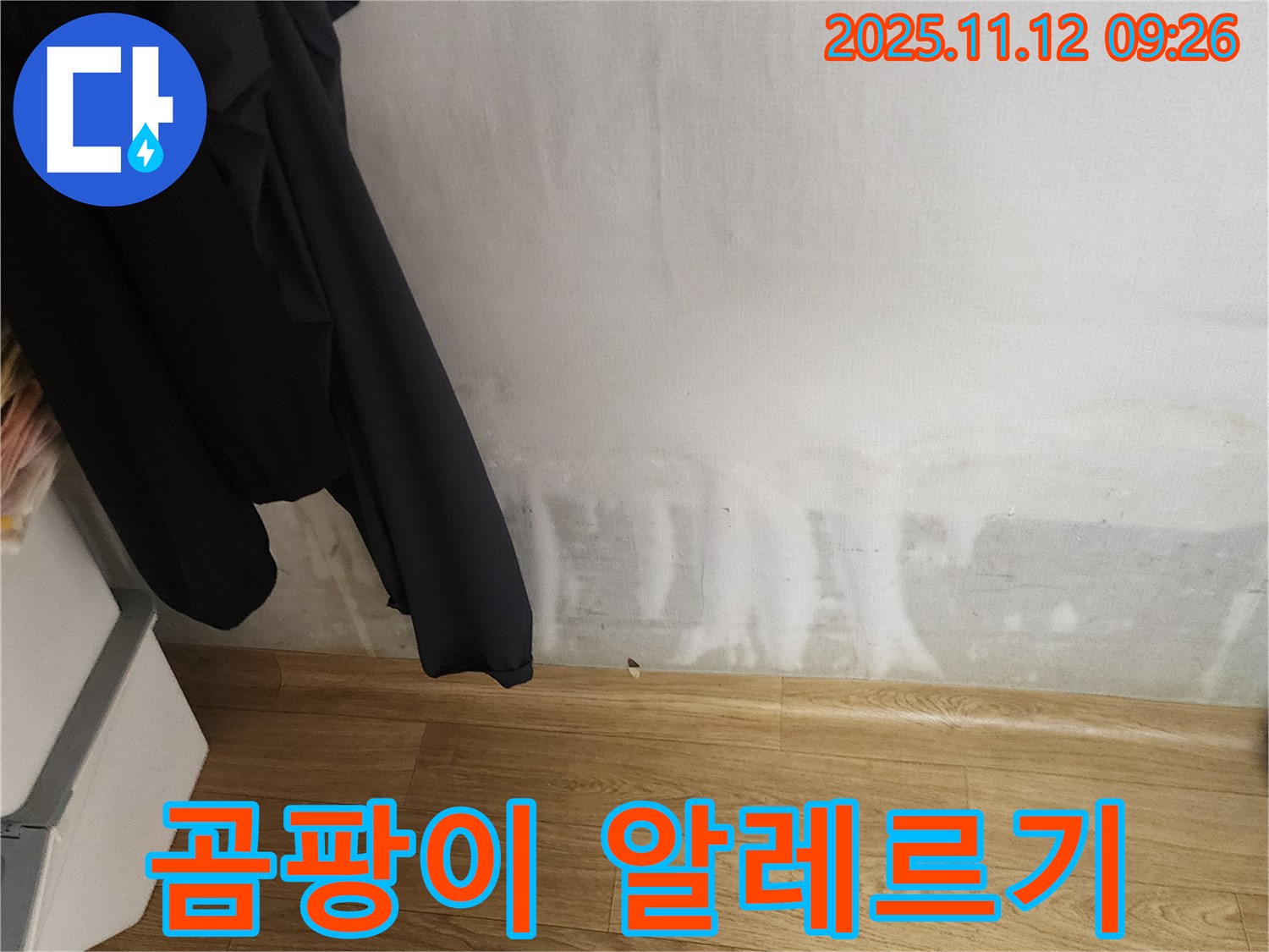 소흘읍 누수 - 곰팡이 알레르기 - 재채기, 콧물, 눈 가려움!