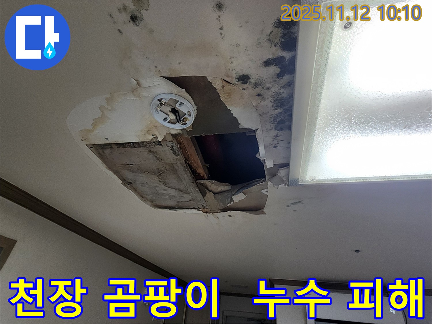 소흘읍 누수 현장 - 천장 곰팡이 발생 및 심각한 누수 피해