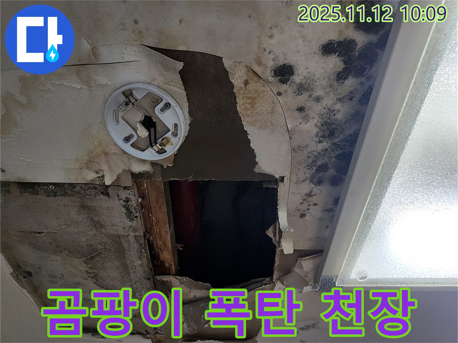 심각한 곰팡이 천장 - 누수 문제의 심각성을 보여주는 이미지