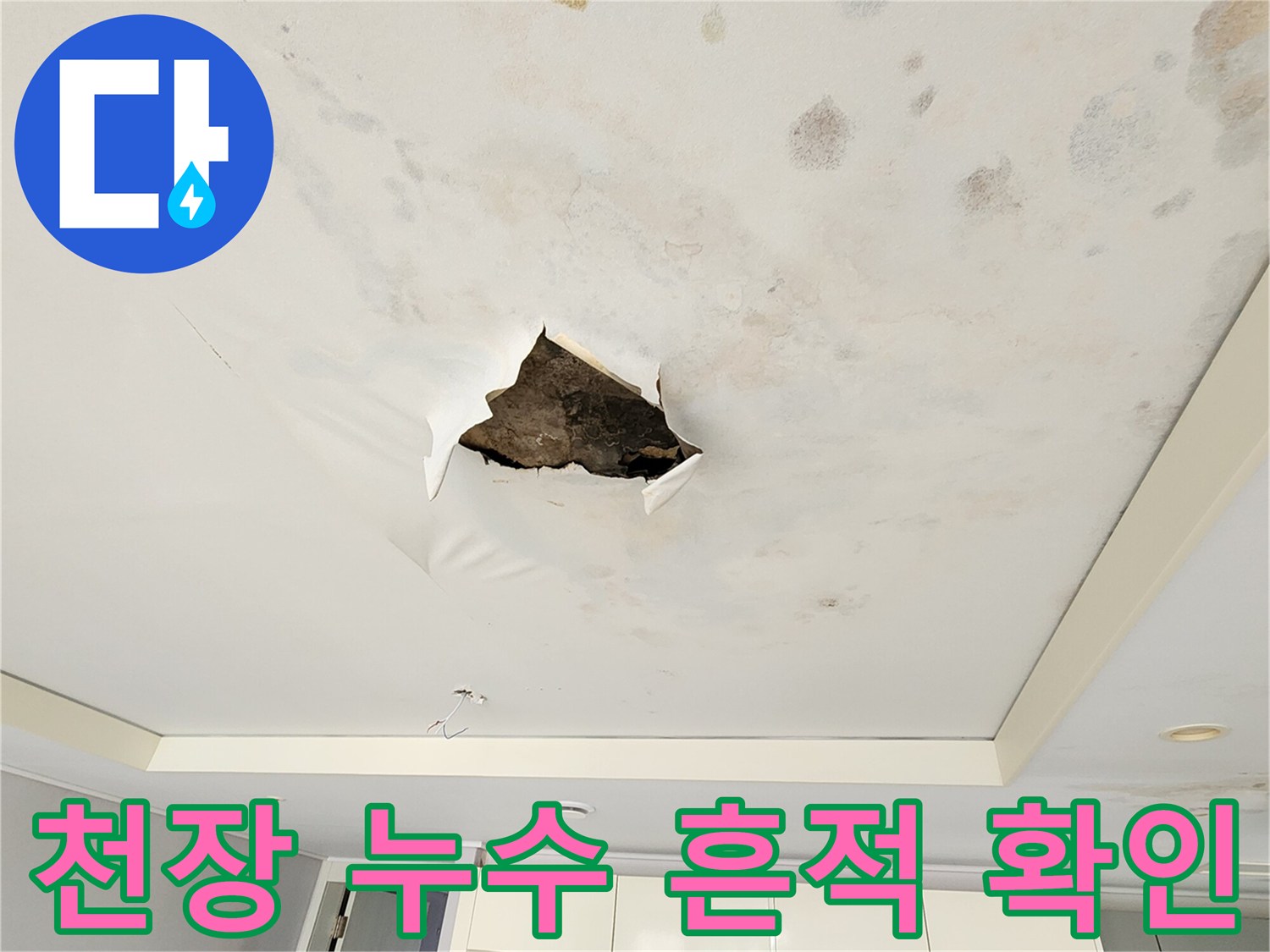 아파트 내부 - 곰팡이와 물자국이 발견된 천장 절개 작업 모습