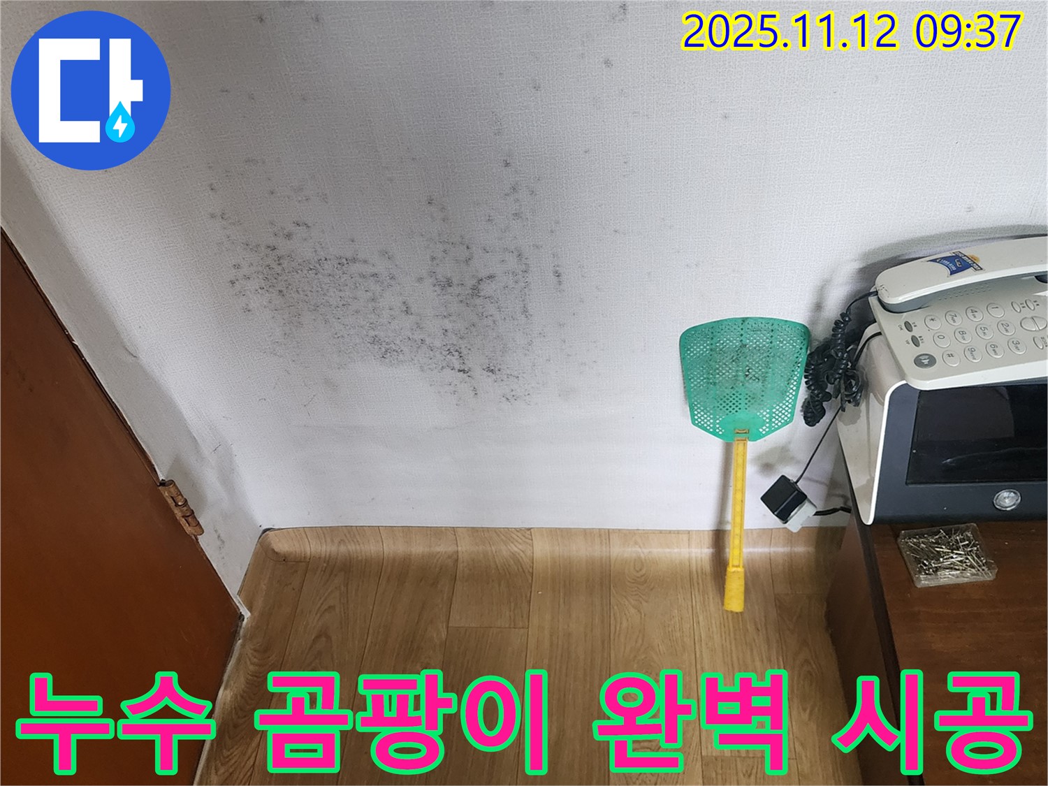 완벽 시공 - 누수탐지로 곰팡이 문제를 해결하고 쾌적한 환경으로! 완벽 시공!