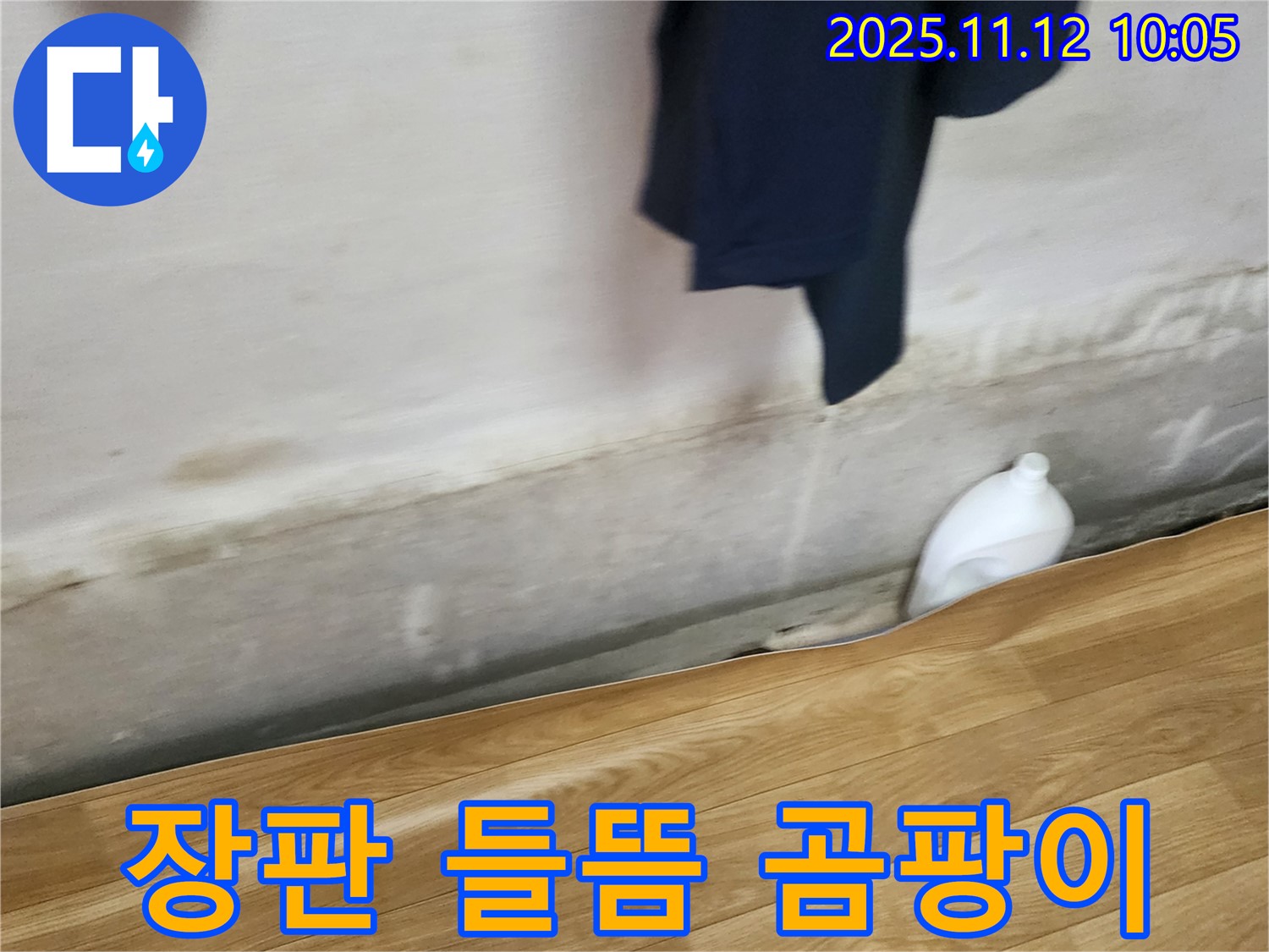 장판 들뜸 - 곰팡이 - 누수 원인 제거