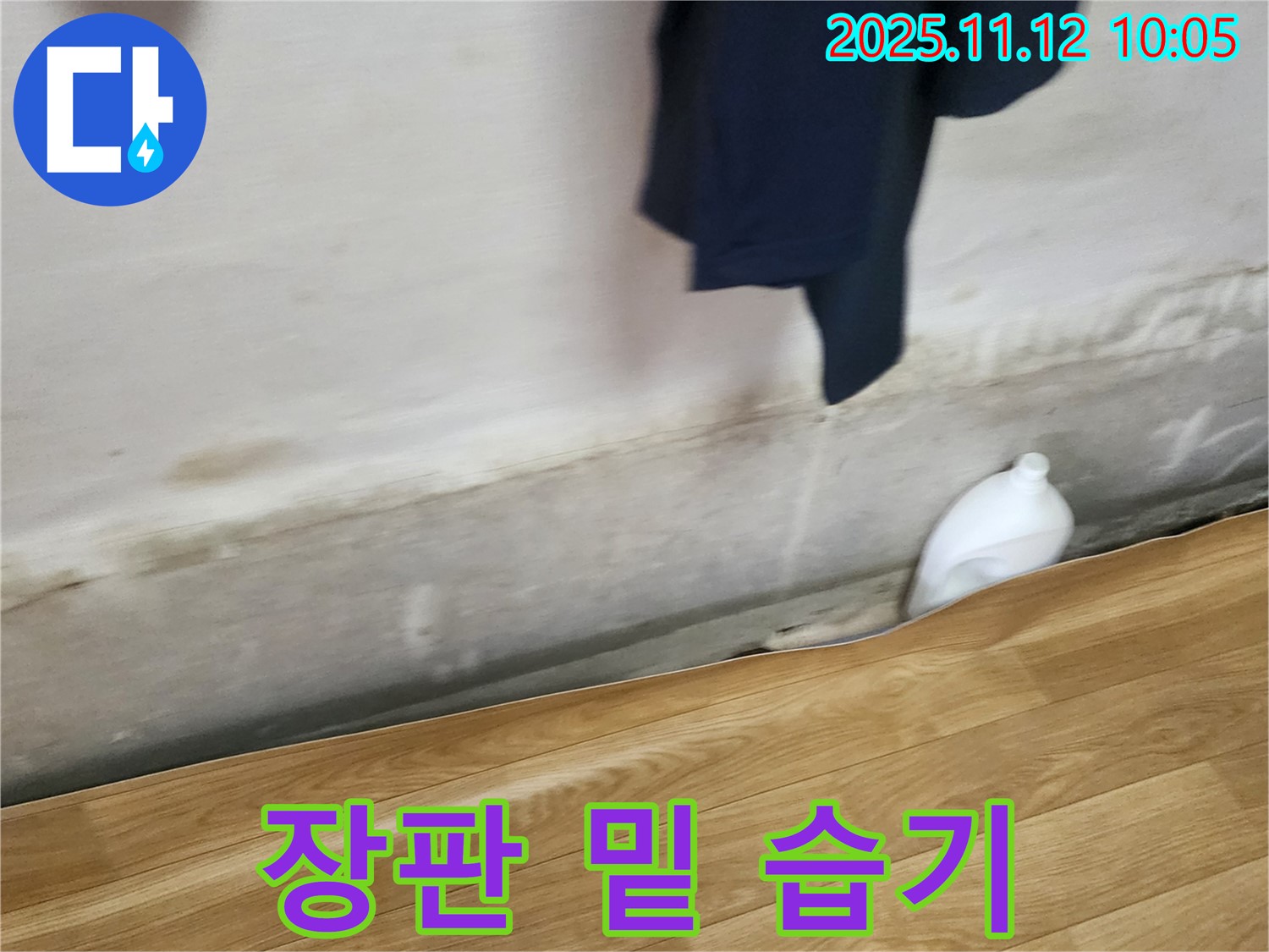 장판 밑 습기 - 바닥 누수 - 전문가