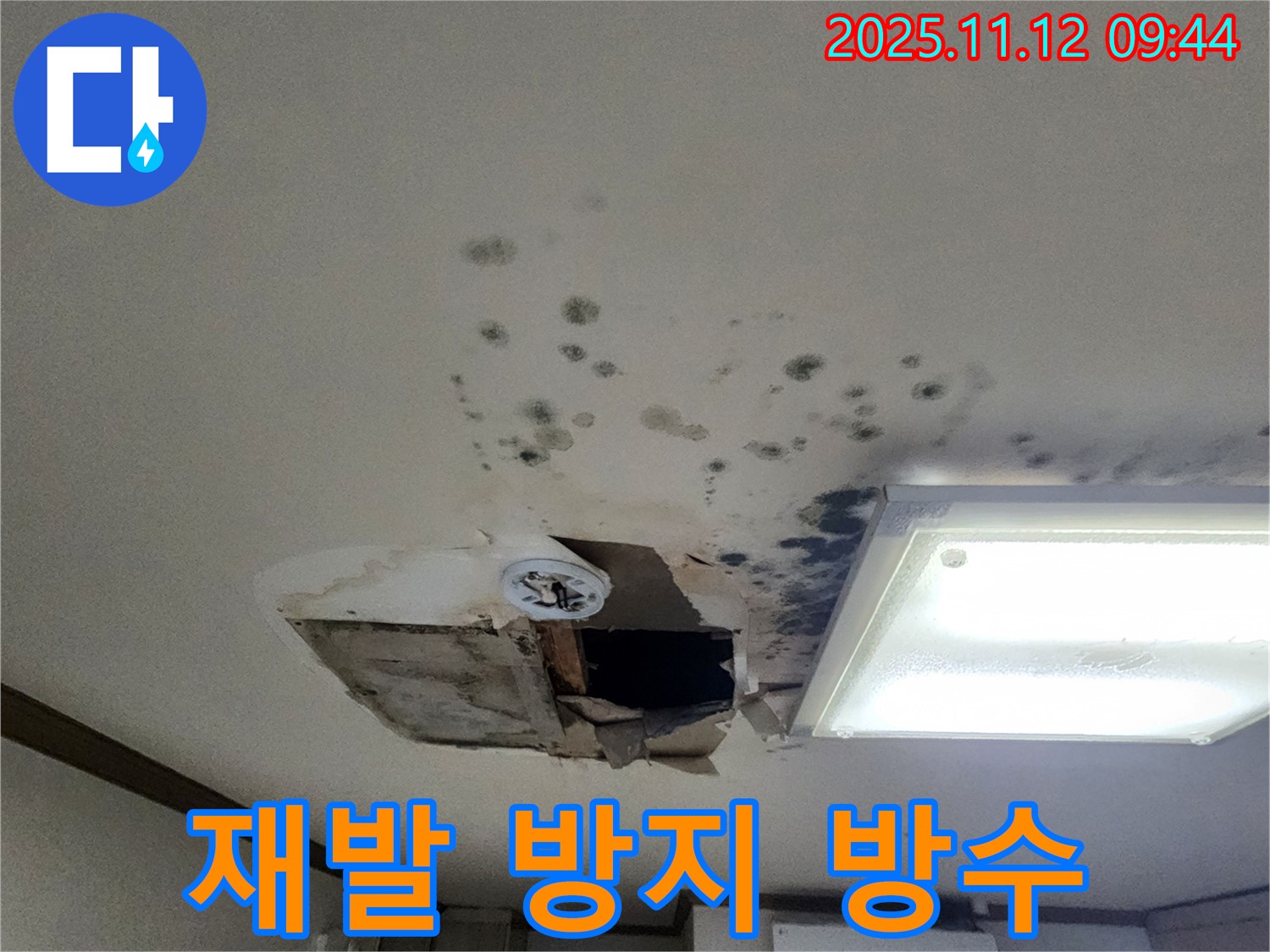 재발 방지 - 곰팡이 제거 - 완벽 방수 시공 - 곰팡이 제거 전문
