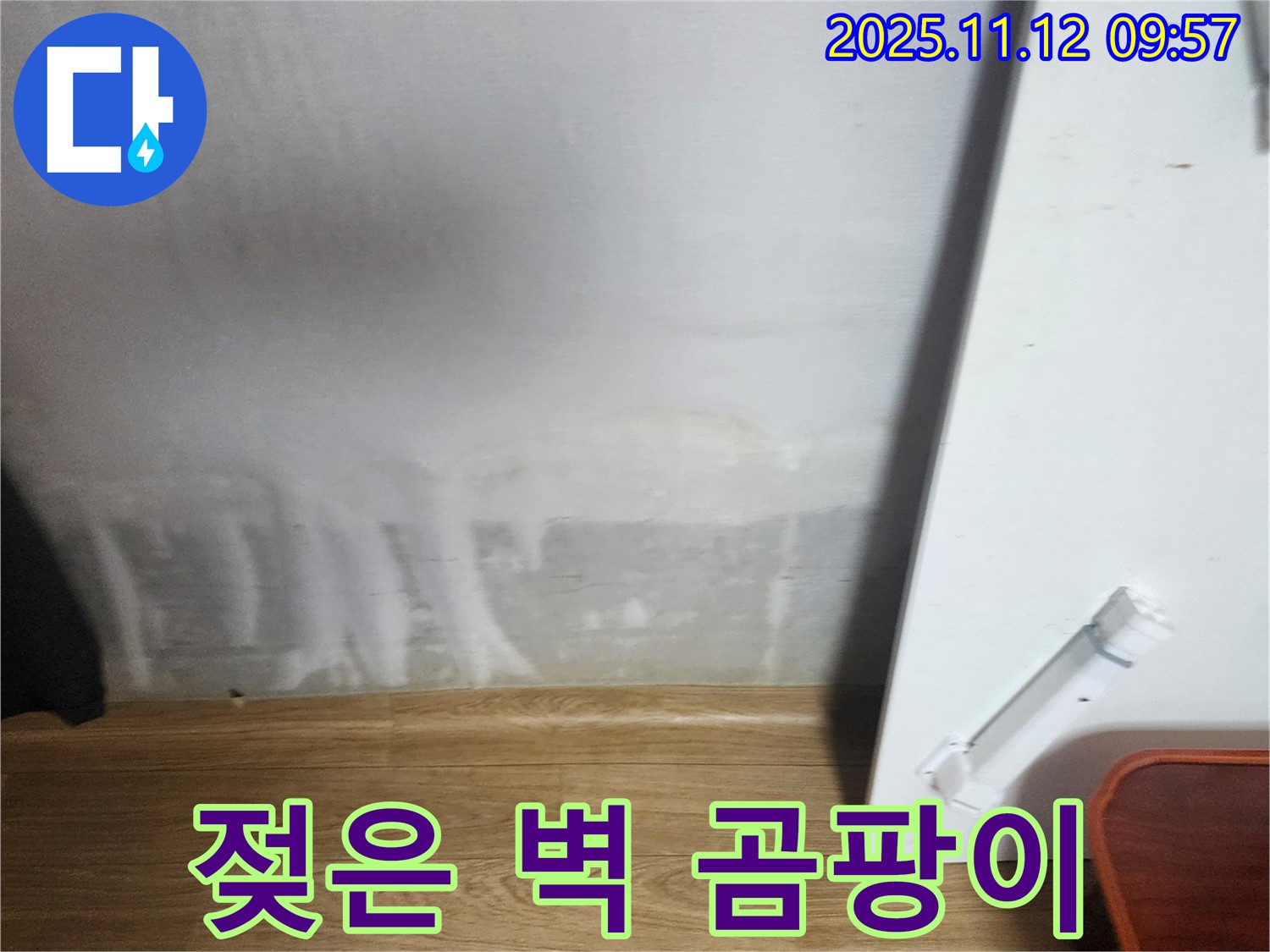 젖은 벽 - 곰팡이 냄새 - 건강 위협