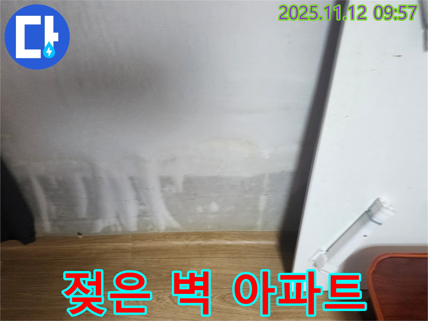 젖은 벽 - 곰팡이 아파트 - 쾌적 환경