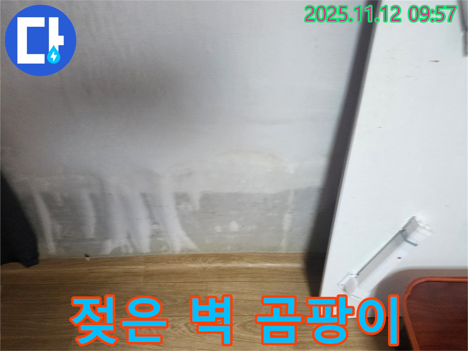 젖은 벽 - 곰팡이 위험 - 빠른 조치