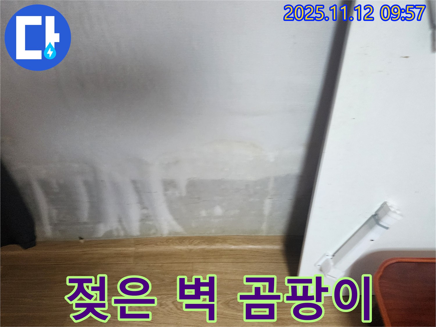젖은 벽 - 곰팡이 직전 - 긴급 해결