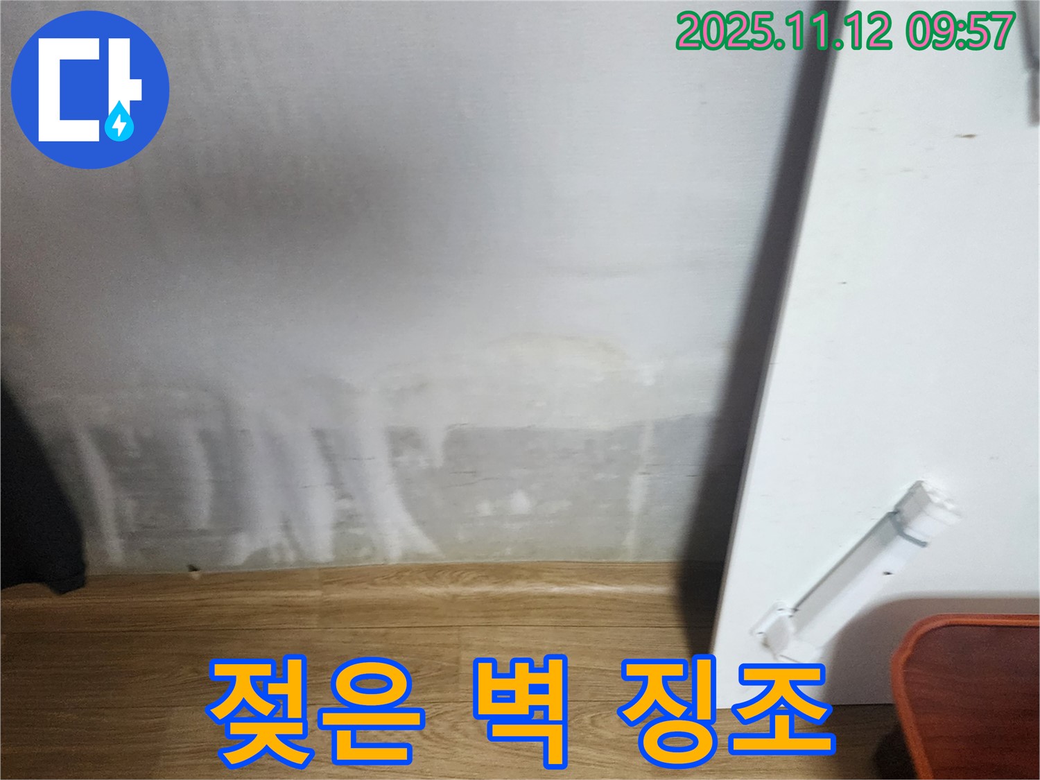 젖은 벽 - 누수 징조 - 전문가 필요