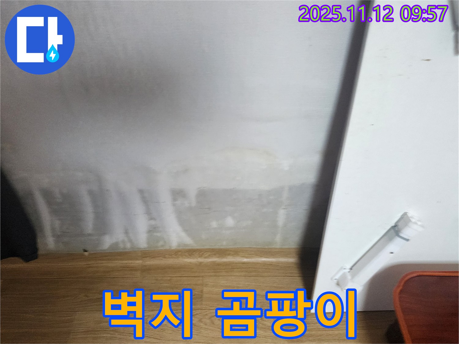 젖은 벽 - 벽지 곰팡이 - 건강 위협