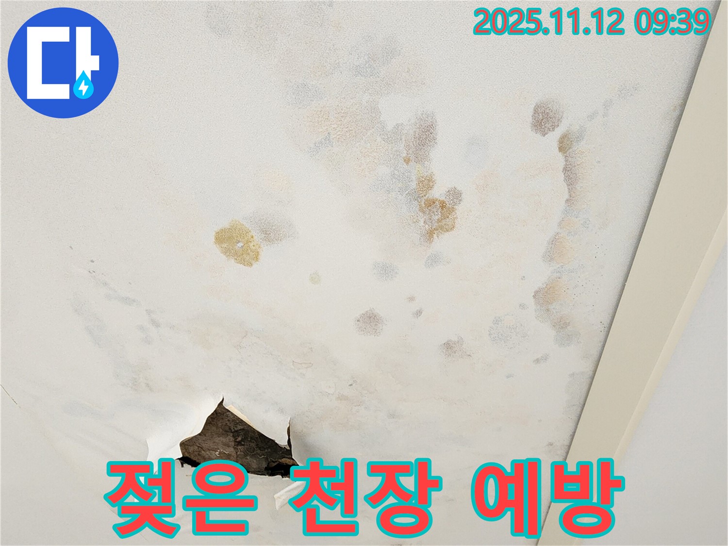 젖은 천장 - 2차 피해 예방 - 신속한 조치
