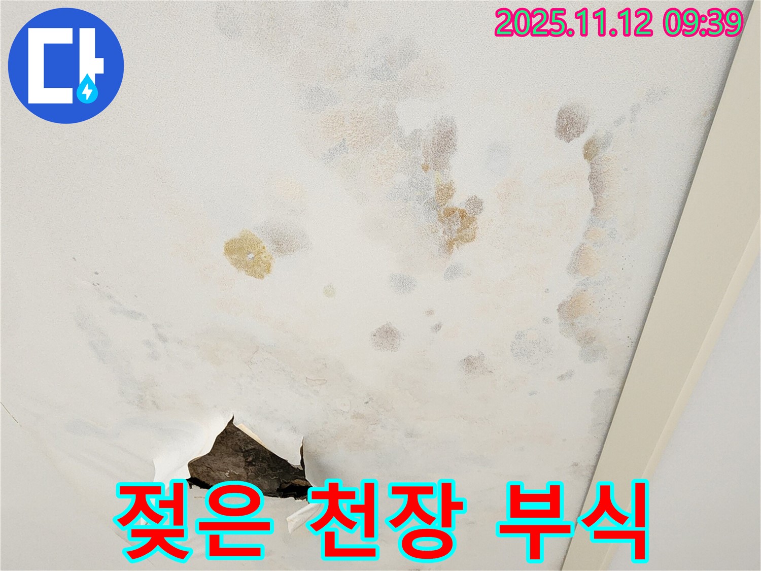 젖은 천장 - 건물 부식 - 균열 시작