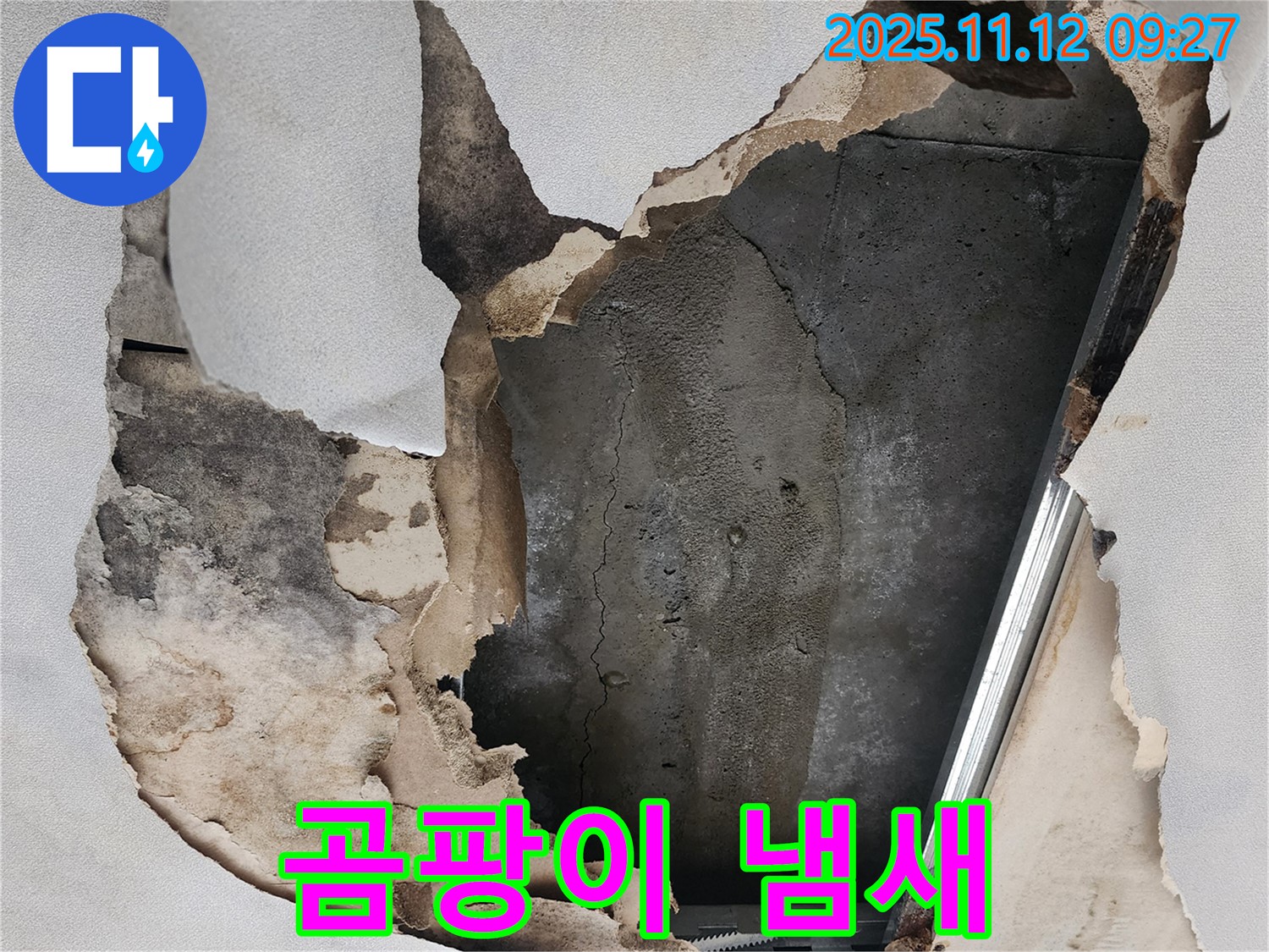 젖은 천장 - 곰팡이 냄새 진동