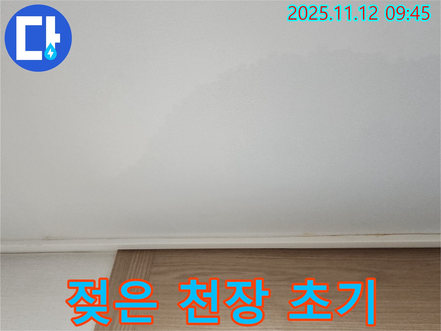 젖은 천장 - 누수 초기 증상일 수 있으니 주의하세요.