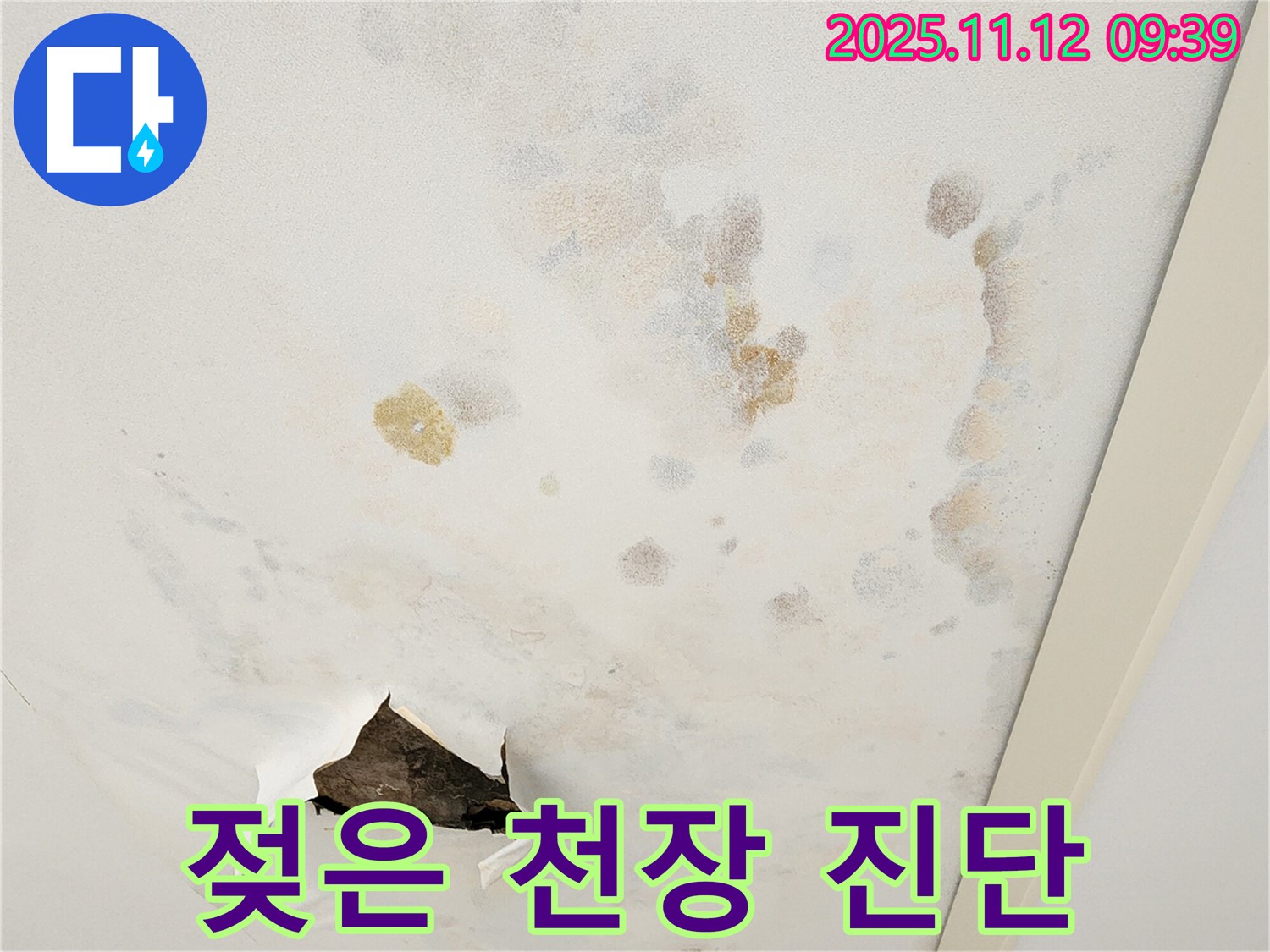 젖은 천장 - 진행 상황 진단 - 꼼꼼한 점검