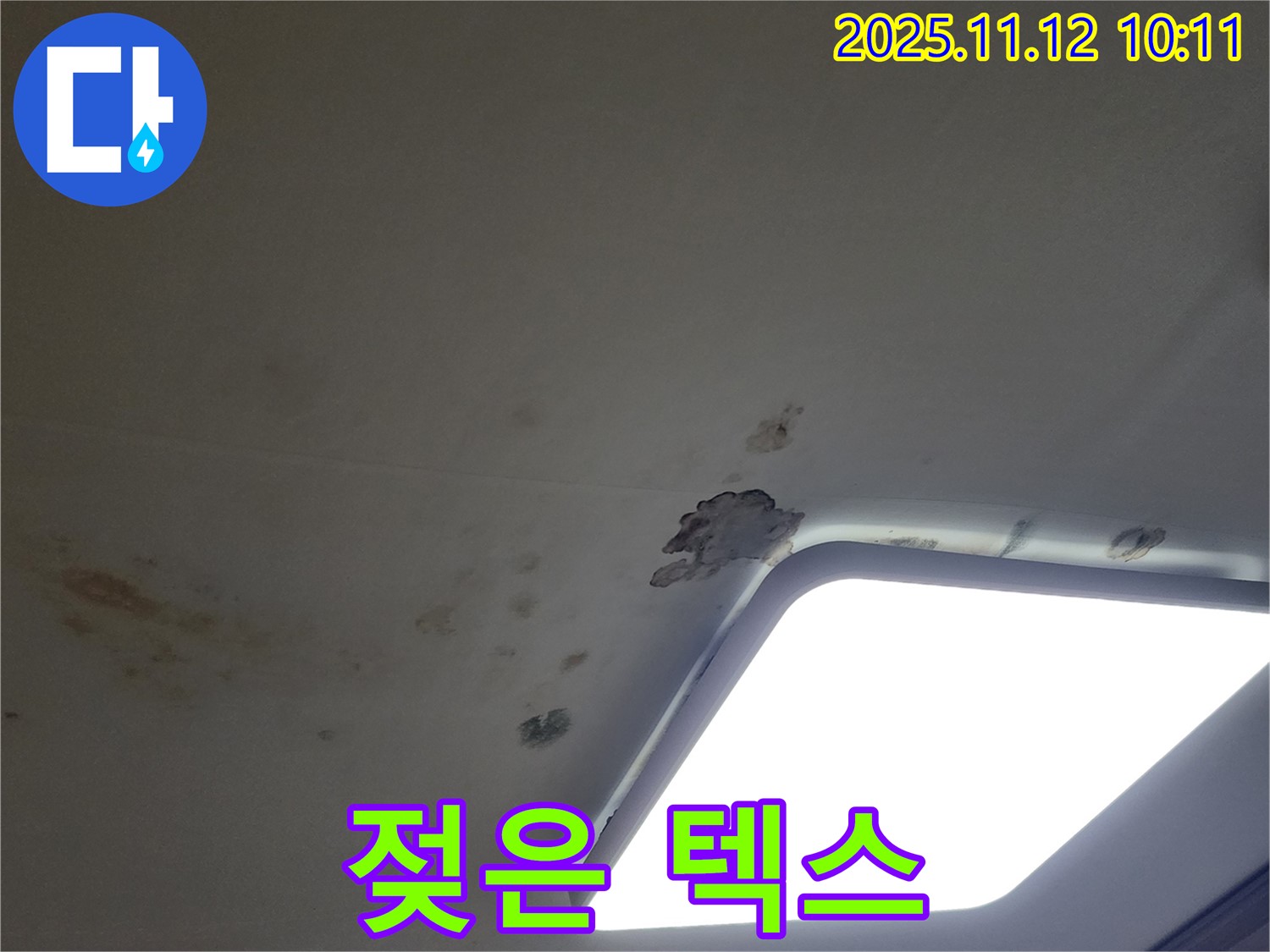 젖은 텍스 - 진행 중 의심
