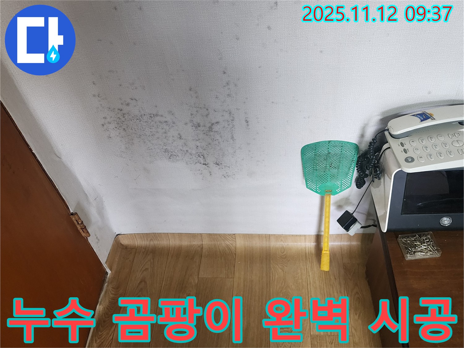 주택 벽 곰팡이 - 누수탐지로 곰팡이 문제를 해결하고 쾌적한 환경으로! 완벽 시공!