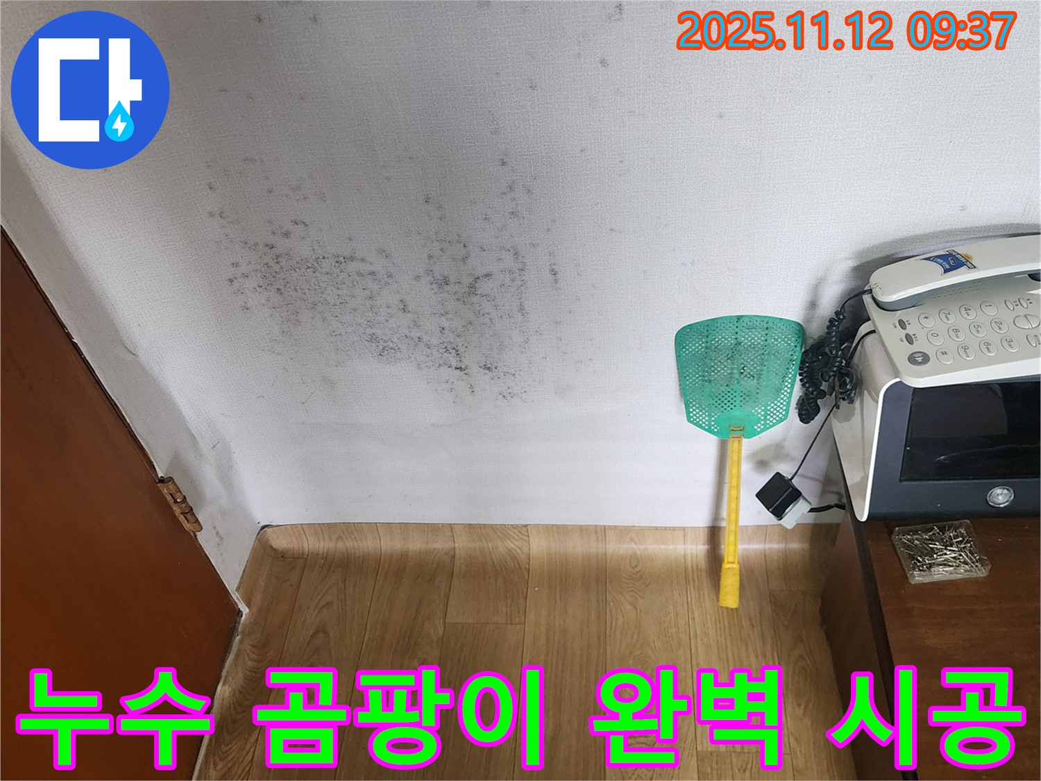 주택 벽 곰팡이 - 누수탐지로 곰팡이 문제를 해결하고 쾌적한 환경으로! 완벽 시공!
