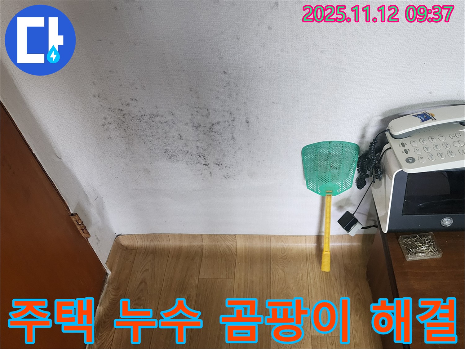 주택 벽에 핀 곰팡이 - 누수탐지를 통해 곰팡이 문제를 해결하고 안심하고 생활하세요.