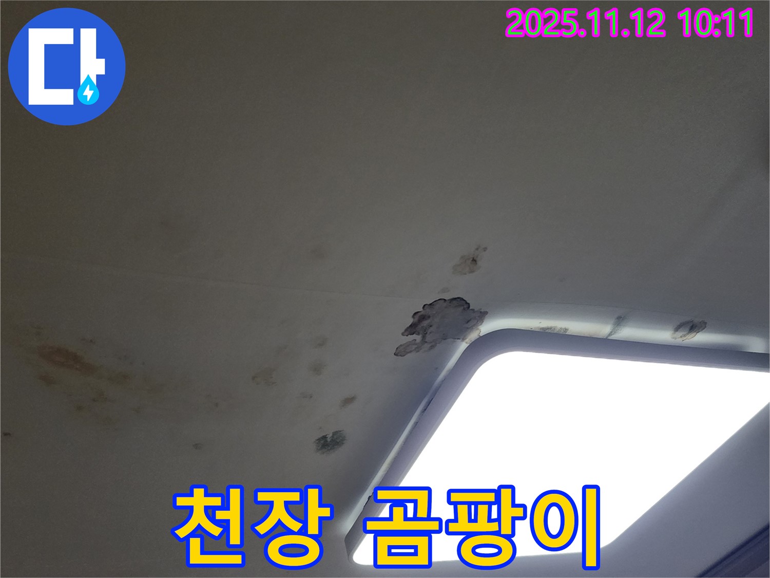 천장 곰팡이 - 누수로 인한 곰팡이 발생