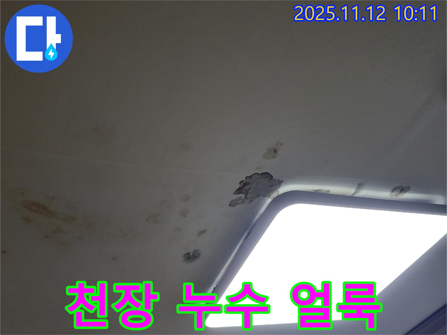 천장 누수 얼룩 - 누수로 인해 생긴 천장의 얼룩과 변색