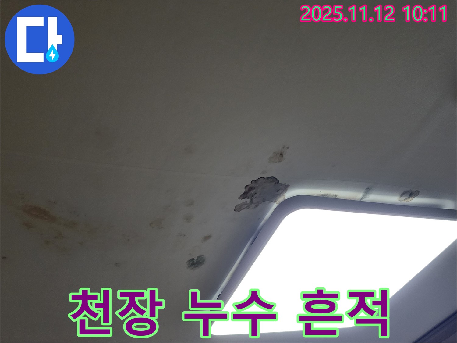 천장 누수 흔적 - 천장에 생긴 누수 얼룩과 곰팡이