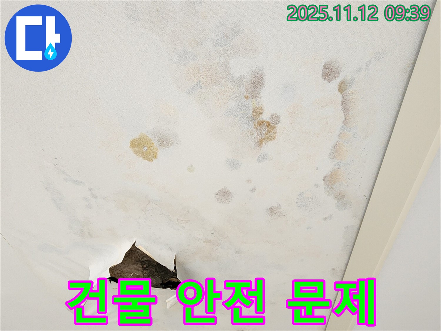 천장 손상 - 건물 안전 - 긴급 점검