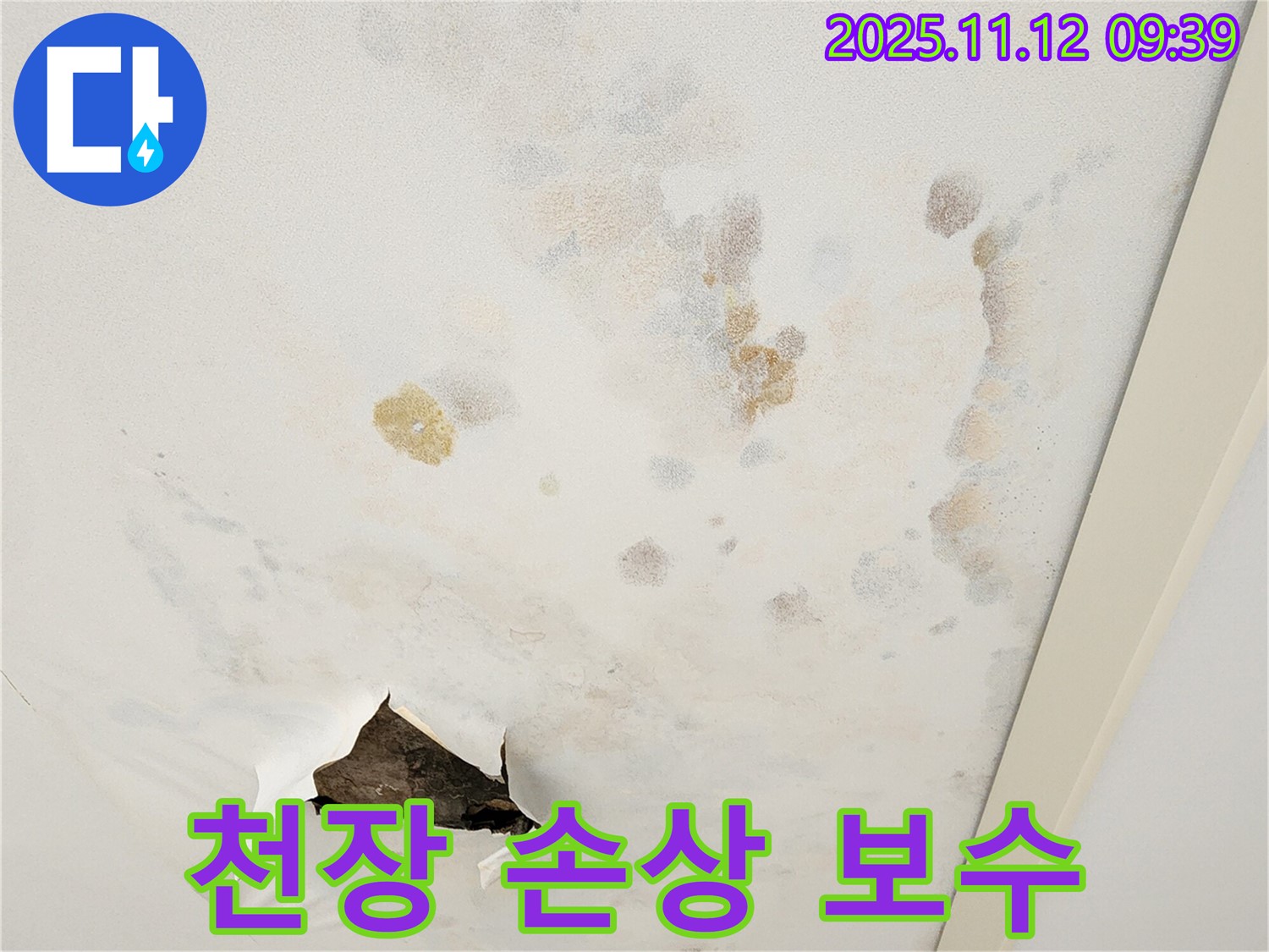 천장 손상 - 건물 안전 위협 - 긴급 보수