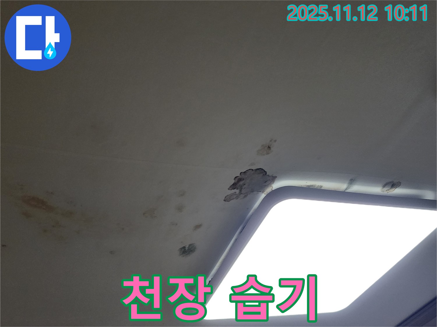천장 습기 - 누수 의심