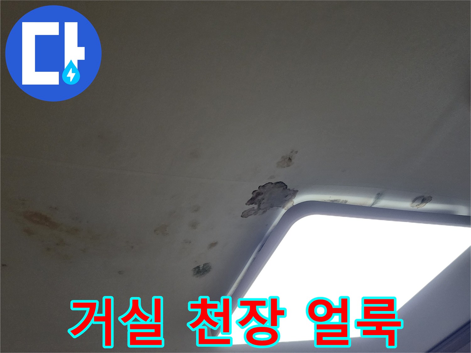천장 조명 근처-물자국과 곰팡이가 발생한 모습