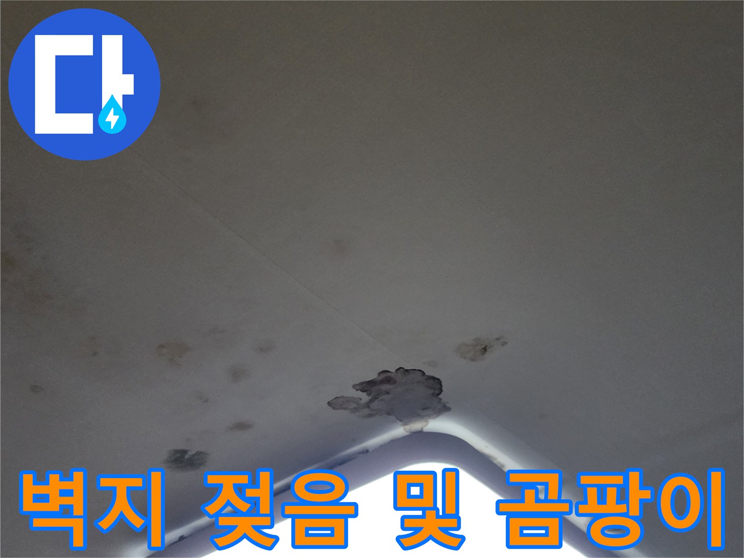 천장 조명 근처에 발생한 젖은 벽지와 곰팡이 흔적