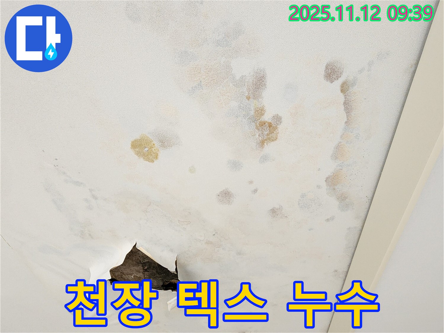 천장 텍스 누수 - 텍스 변색 - 텍스 처짐