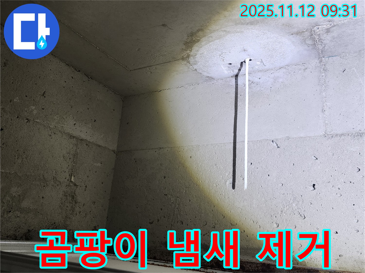 콘크리트 천장 - 곰팡이 냄새 제거 - 쾌적한 환경