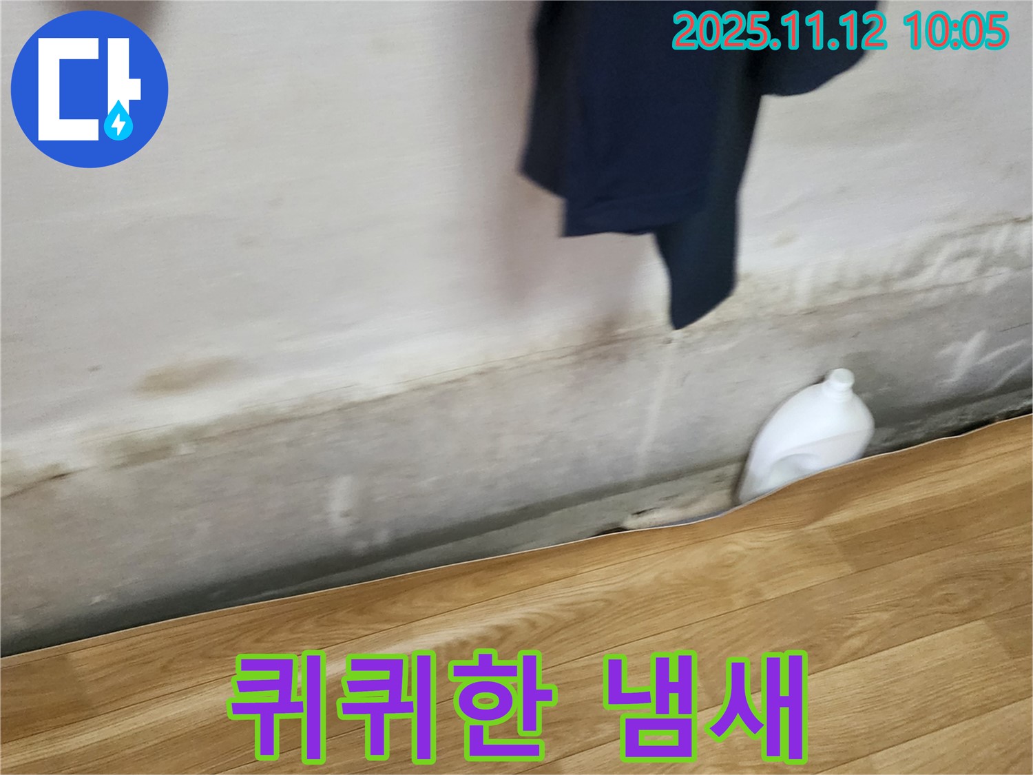 퀴퀴한 냄새 - 누수와 곰팡이 - 냄새 제거
