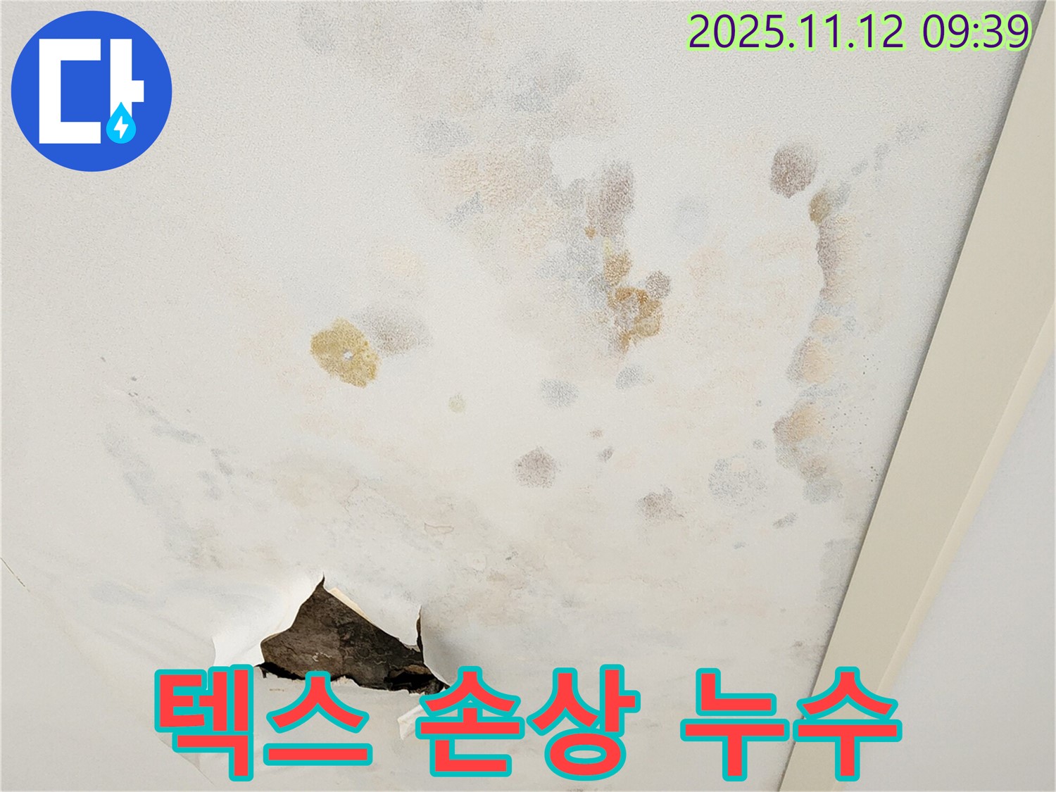 텍스 손상 - 누수 진단 - 맞춤 솔루션