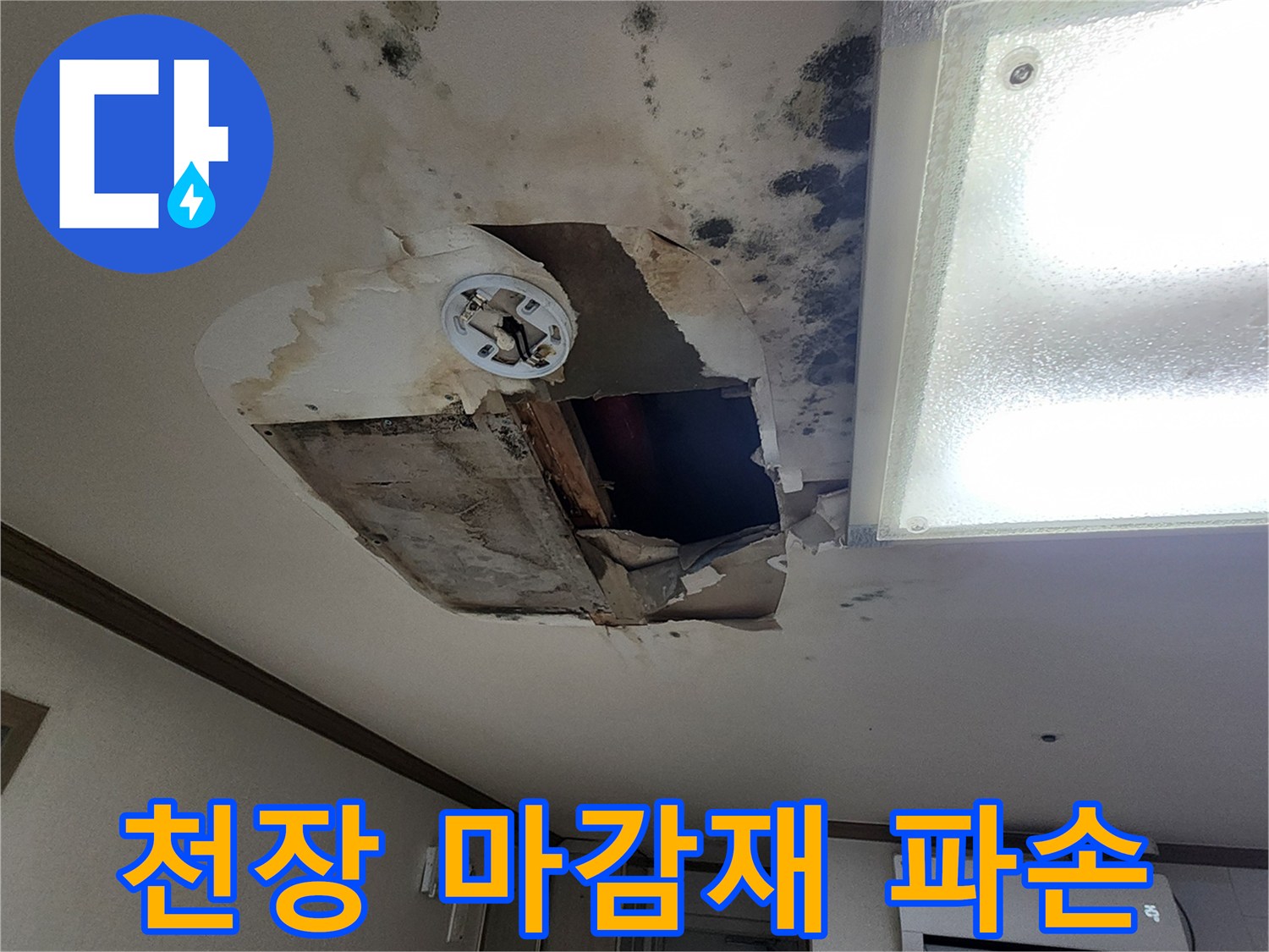 포천 무봉리-곰팡이가 심한 천장 내부 상황