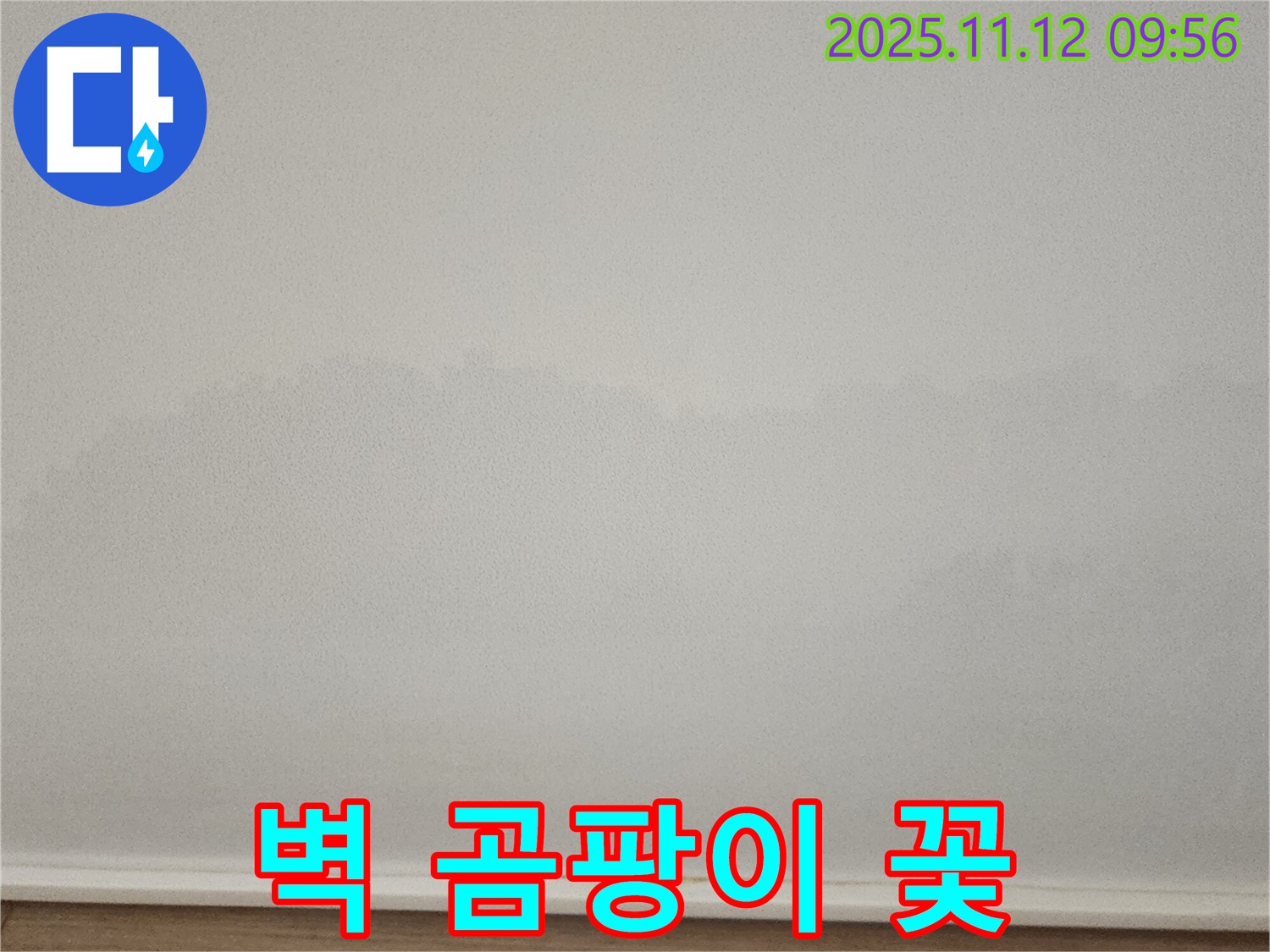 포천 무봉리 벽 곰팡이 - 꽃 - 누수 잡고 곰팡이 싹!