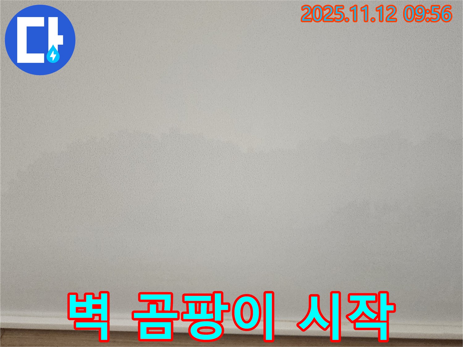 포천 벽 곰팡이 - 늦기 전에 전문가에게!