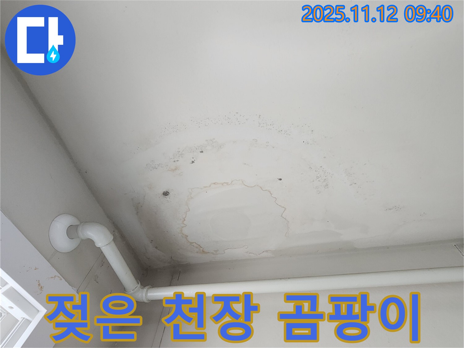 포천 소흘읍 누수 - 젖은 천장, 곰팡이 시작?! 긴급 점검으로 싹!