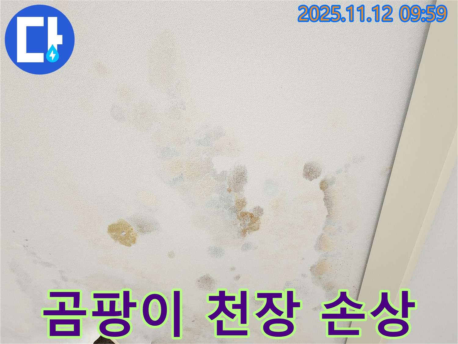 포천 소흘읍 무봉리 누수 현장 - 곰팡이와 함께 손상된 천장