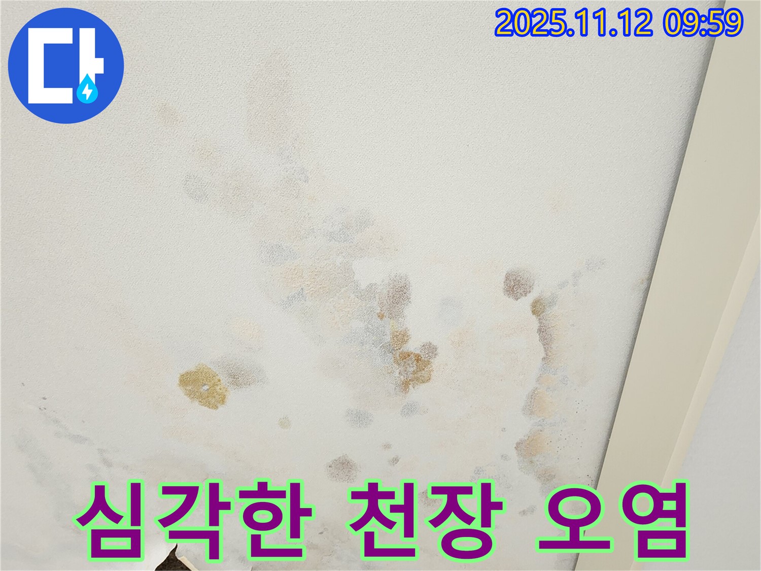 포천 소흘읍 무봉리 누수 현장 - 심각하게 오염된 천장과 누수 자국